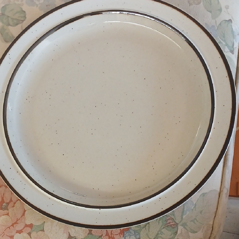 Elegant Cream Dinner Plate with Brown Trim Rainbow Stoneware 12 In Round